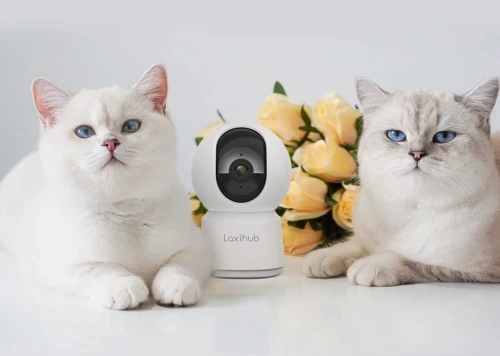 Arenti Makes Security A Breeze with Baby Monitor P2